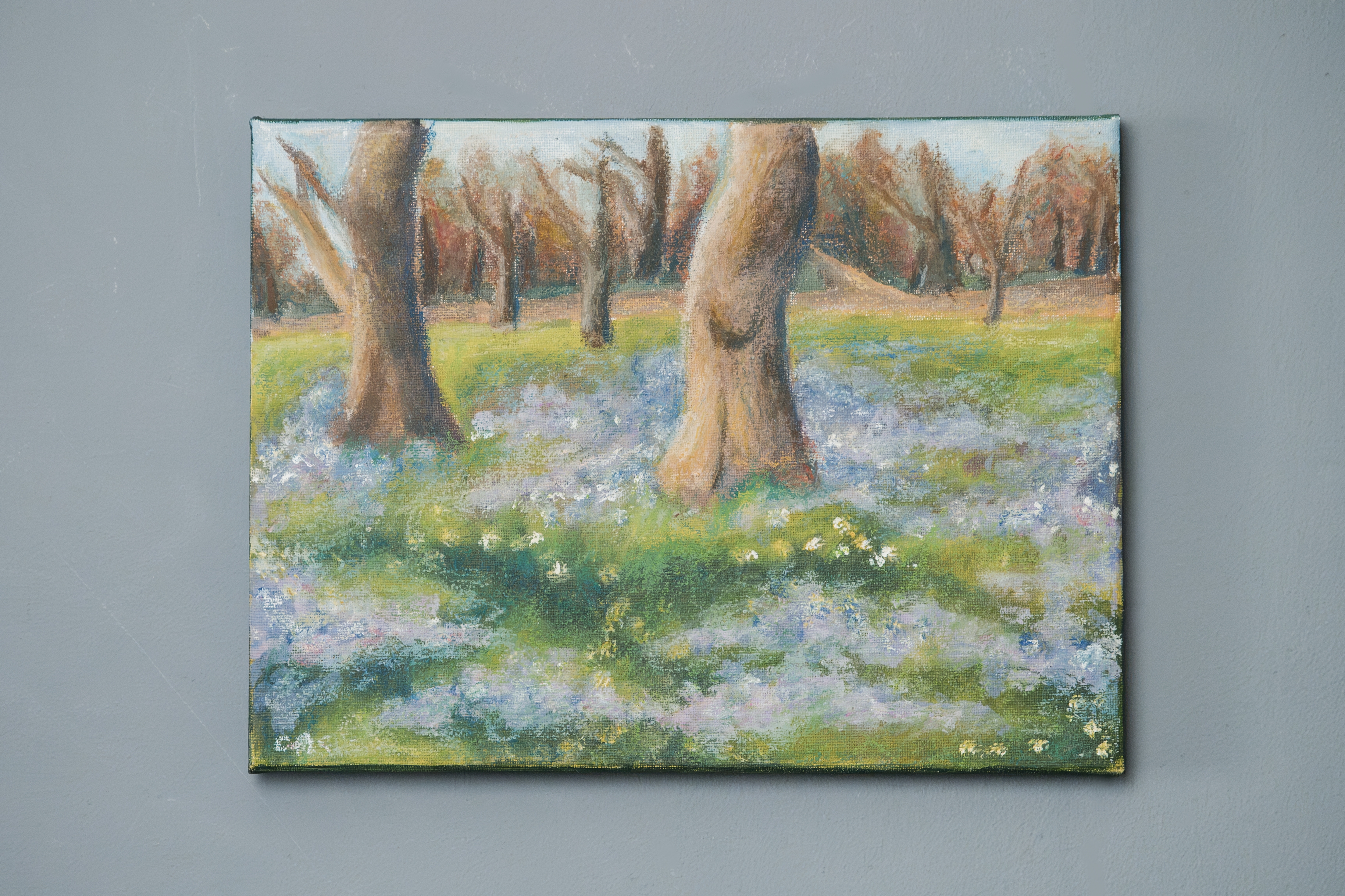 London Park Crocus